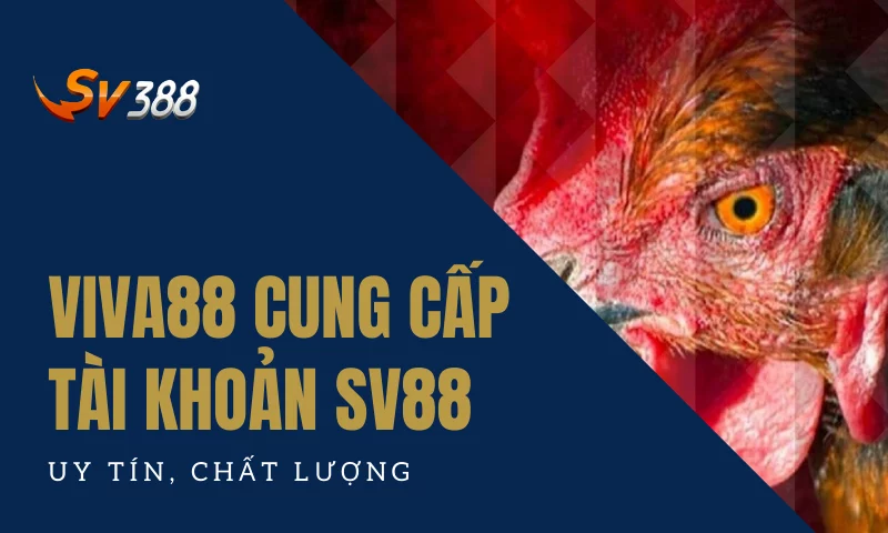 Viva88viet cung cấp tài khoản SV388 uy tín, chất lượng