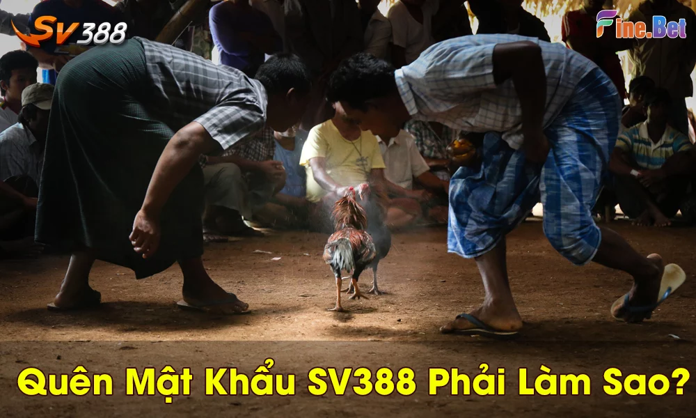 Các bước lấy lại mật khẩu SV388