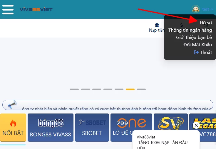 hồ sơ tài khoản viva88viet