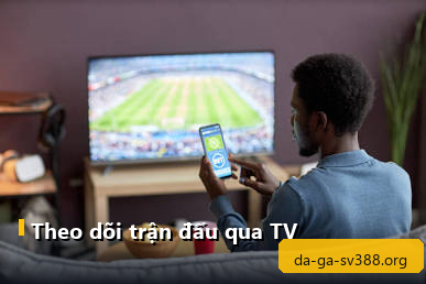 Người ngồi trên sofa xem trận đá gà trực tiếp trên tivi lớn với bảng tỷ lệ kèo hiển thị phía dưới màn hình