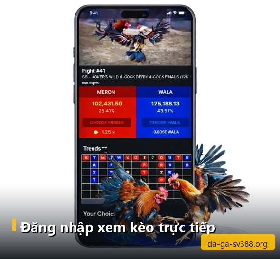 Tay nhập tên đăng nhập và mật khẩu trên điện thoại với hình nền mờ livestream trường gà phía sau