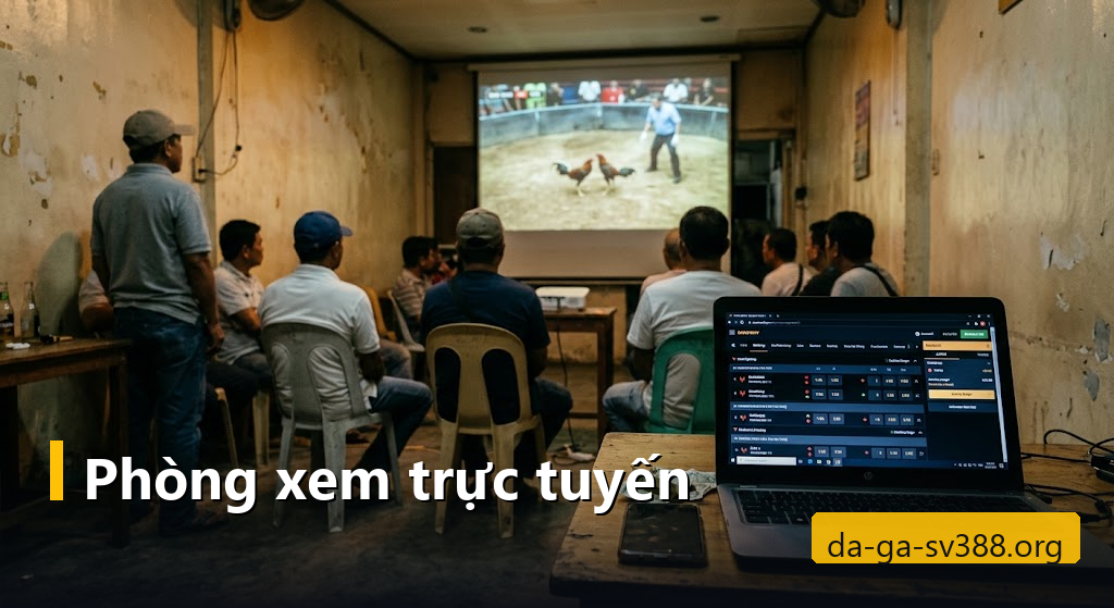 Phòng xem đá gà trực tuyến với màn hình lớn và bảng odds